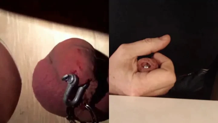 Extreme Self Cock and Ball Destruction | PenisCrush.com