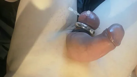 Three Needles through slave Paulannie’s balls | PenisCrush.com