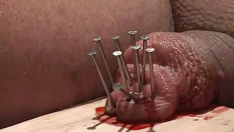 Cock Nailed to Board | PenisCrush.com
