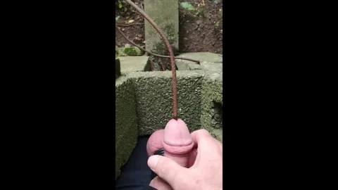 CBT sounding rusty nail | PenisCrush.com